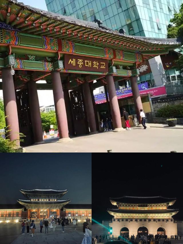 韓韻世宗 | 一場詩意的文化尋蹤之旅