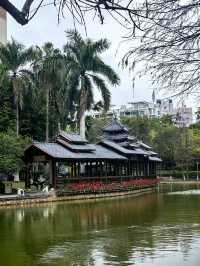 南寧寶藏小眾0元公園｜金花茶公園