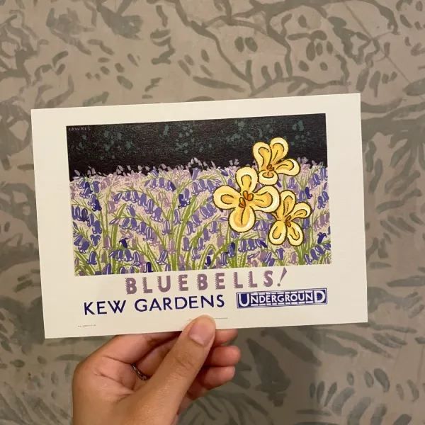 Exploring the Vastness of Kew Gardens