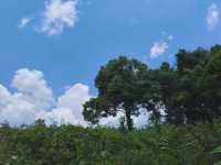 泰國周邊遊之考艾國家公園