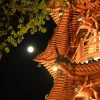 深圳龍華公園 | 夜間漫步的光影之境