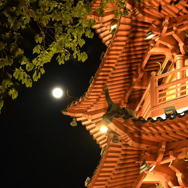 深圳龍華公園 | 夜間漫步的光影之境
