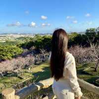 沖繩首波浪漫🌸 八重瀨公園的春日驚喜