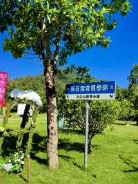 星空下的靜謐之約：大尖山露營記