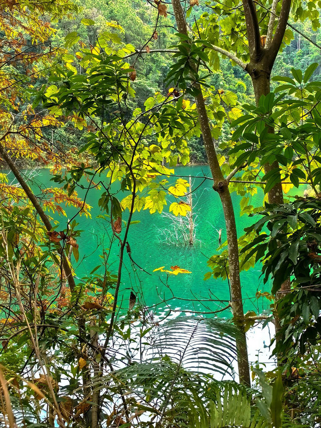 《夢幻仙蹤 魅力龍園》