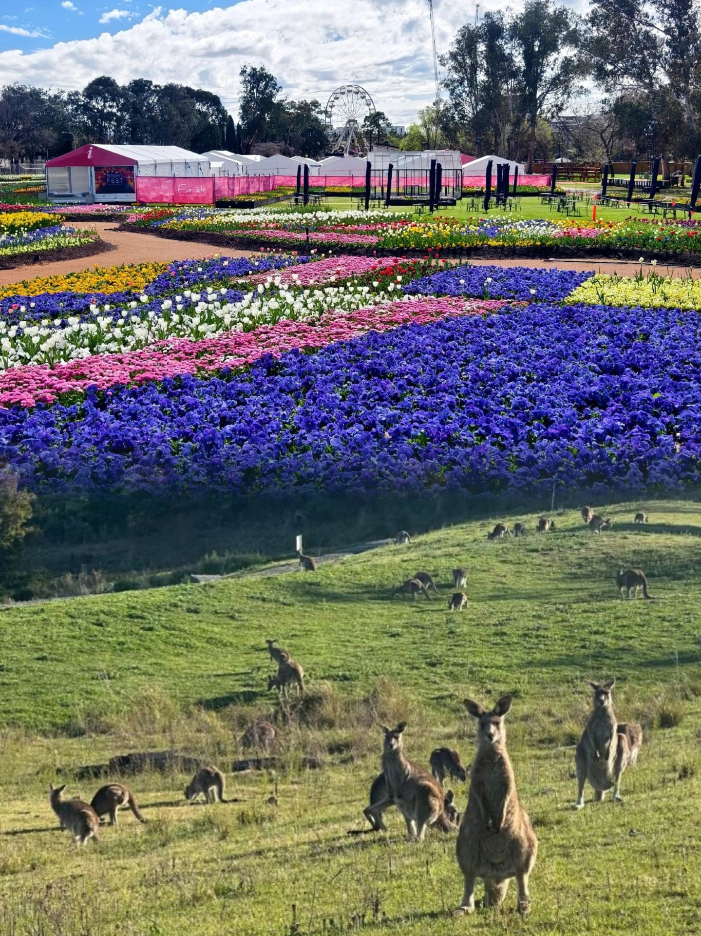 ### Canberra | The Underrated "Cool Capital"