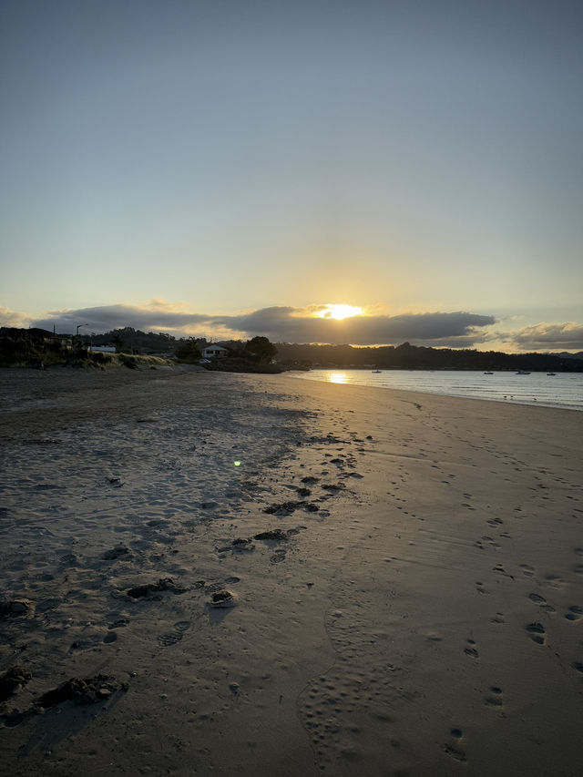 Heaven On Earth At The Coromandel, North Island NZ 