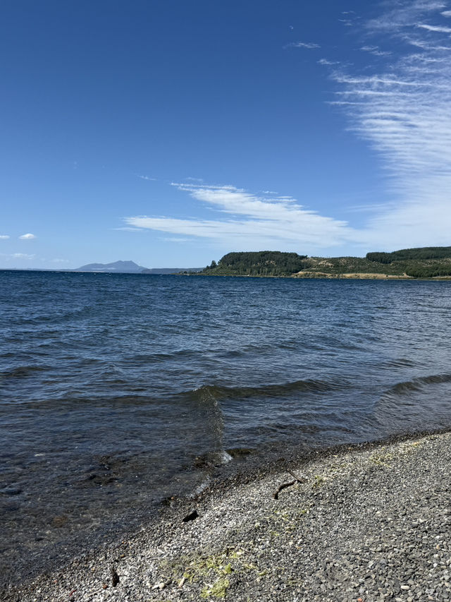 A Swim Like No Other, The Lakes In The Bay Of Plenty New Zealand