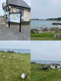 日本八戶種差海岸，真係靚到喊