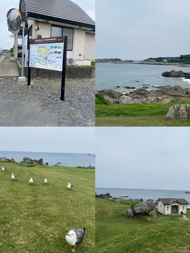 日本八戶種差海岸，真係靚到喊