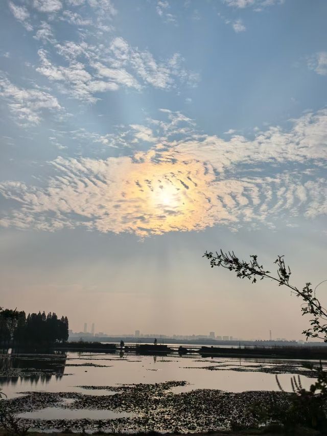 昆明滇池綠道：徒步與觀景的完美結合