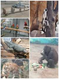 【天津南開區～水上公園·天津電視塔】
