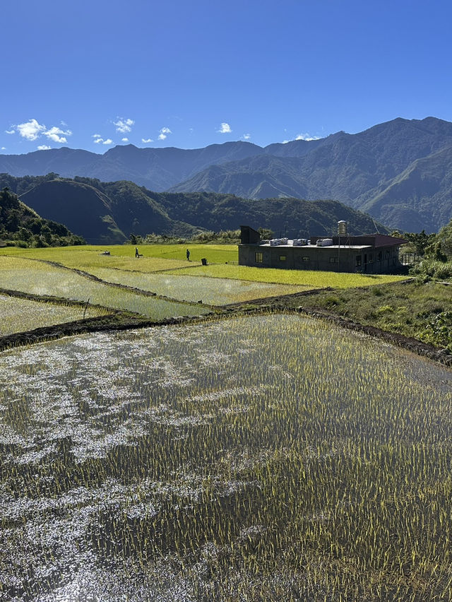 Visiting Apo whang od and Sagada