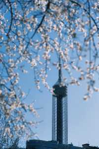 大連勞動公園嘅桃花已經靚到升華咗啦