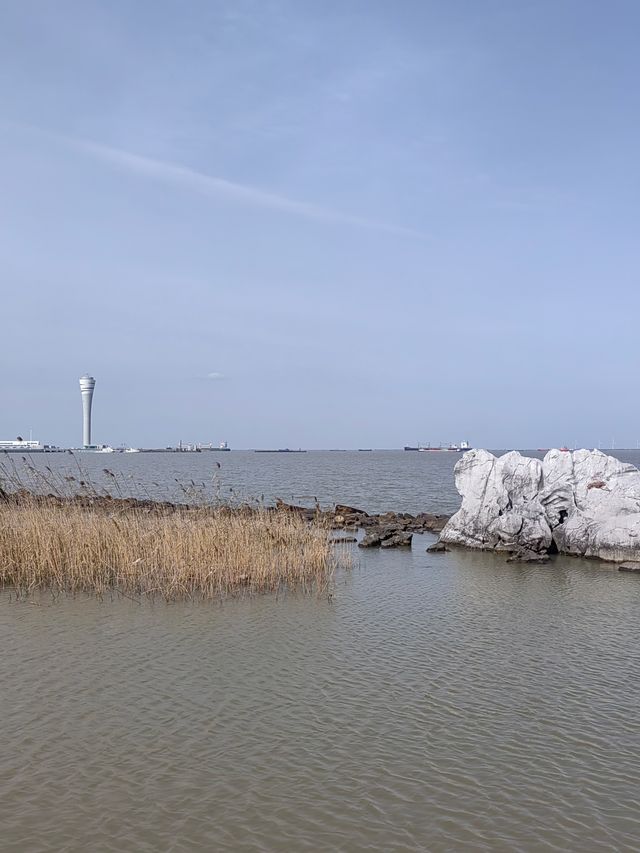 上海吳淞炮台灣國家濕地公園