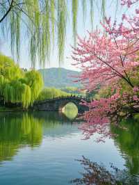春日西湖 | 邂逅詩意江南