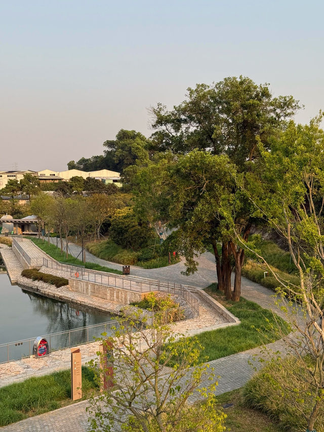🌳深圳西麗水庫公園，藏在鬧市的秘境！