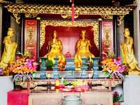 Ancestral Temple Museum: A Glimpse into China's Cultural Heritage