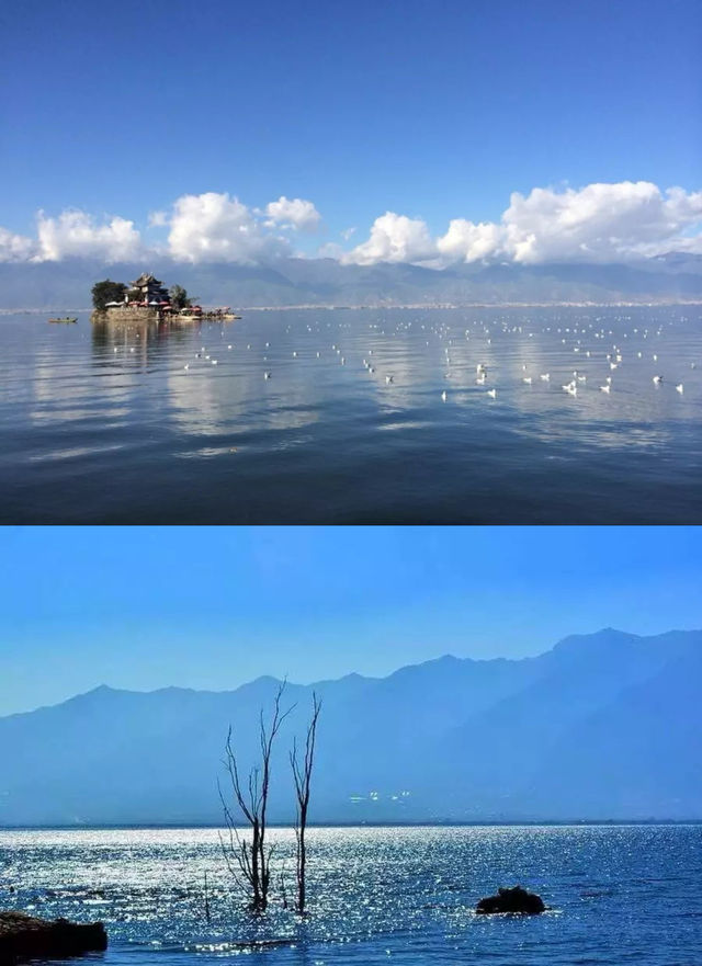 洱海生態廊道騎行攻略