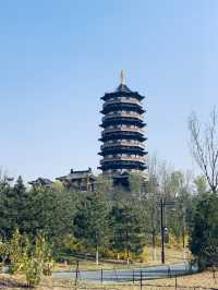 雄安寶藏公園 | 悅容公園保姆級遊玩攻略