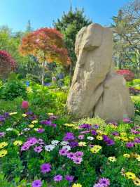 青島也有自己的秘密花園，你知道在哪裡嗎？