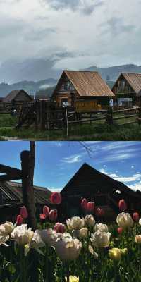 【阿勒泰旅遊攻略】北疆秘境，四季皆美！