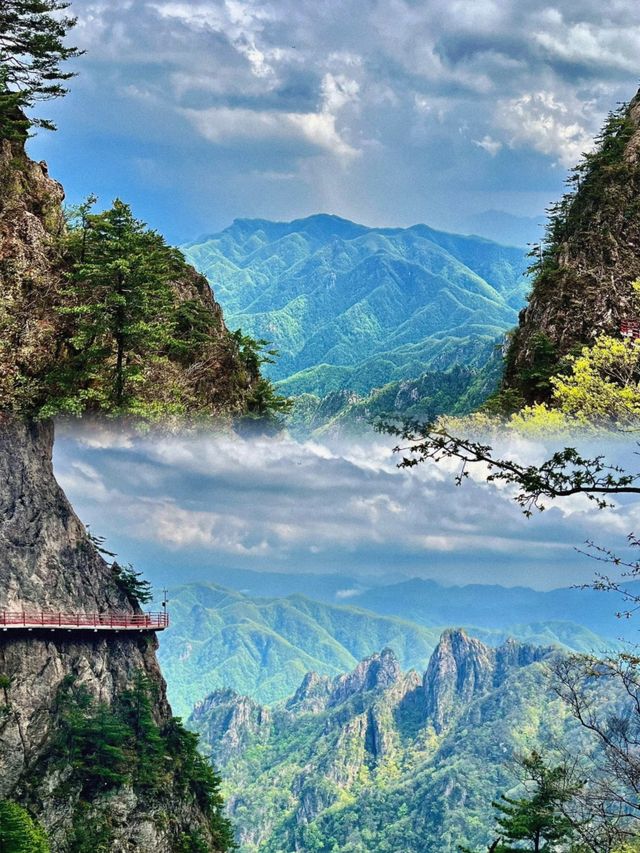 已回！第一次去爬老君山，我的建議是……