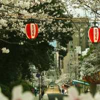 ⛩️【福岡光雲神社｜被兔子與繪馬治癒的森系小秘境】