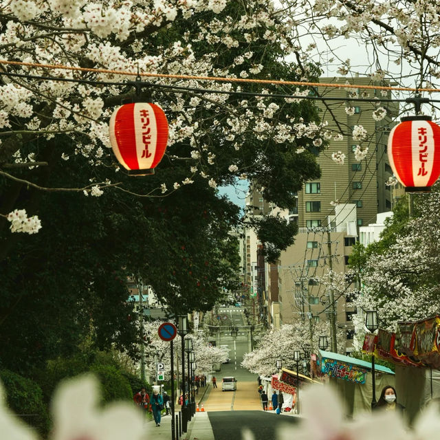 ⛩️【福岡光雲神社｜被兔子與繪馬治癒的森系小秘境】