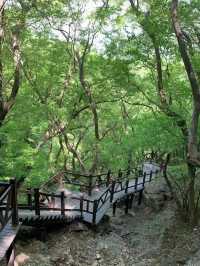 宿州旅遊必備攻略（超全）