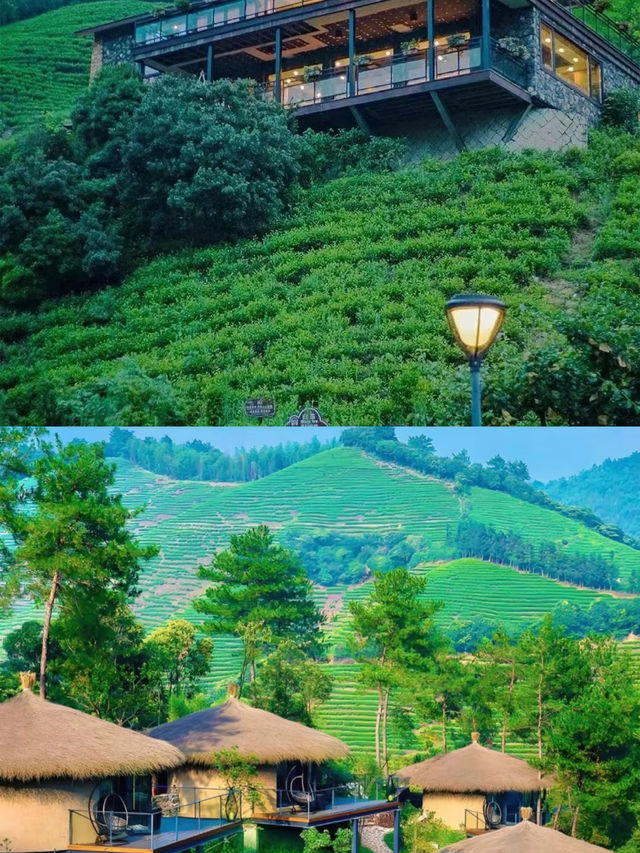 莫干山：竹海深處的隱逸之境
