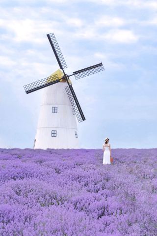 Changsha's version of Provence actually hides a lavender field