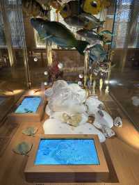 Taiwan Museum Taipei, A Cheap Yet Fascinating Place For The Whole Family 