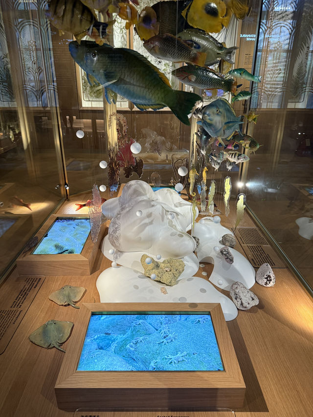 Taiwan Museum Taipei, A Cheap Yet Fascinating Place For The Whole Family 