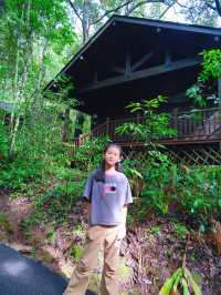 普洱小熊貓莊園｜同小朋友一齊入住人生必住酒店！