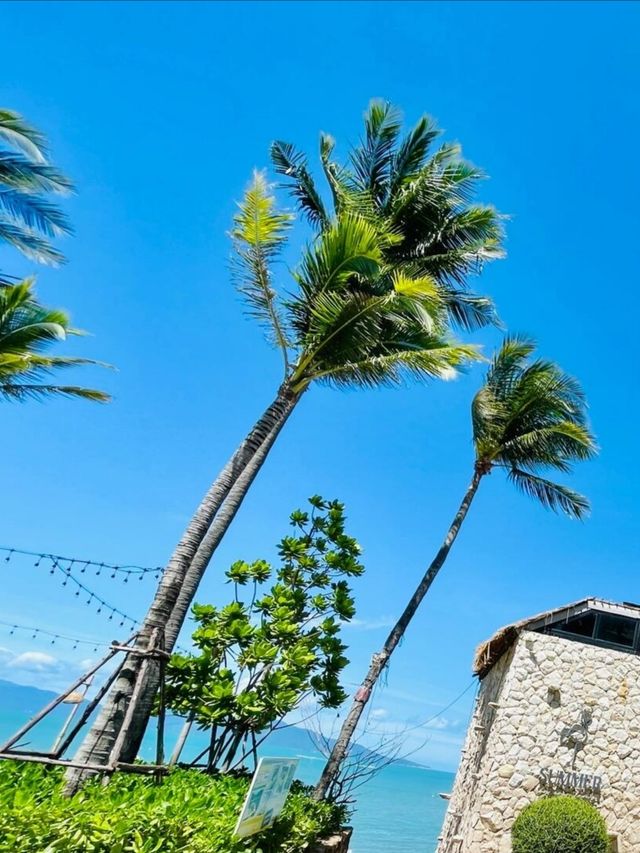 蘇梅島|泰國嘅夏日永不落幕