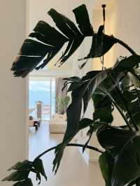 實現心願，真係喺洱海旁邊躺平咗
