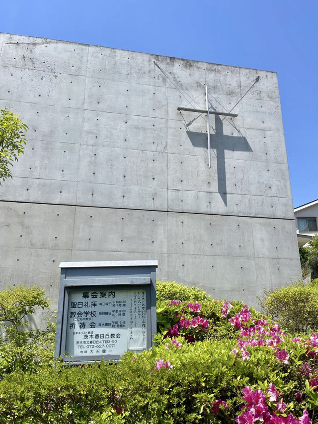 在靈光中拾回靜謐之美