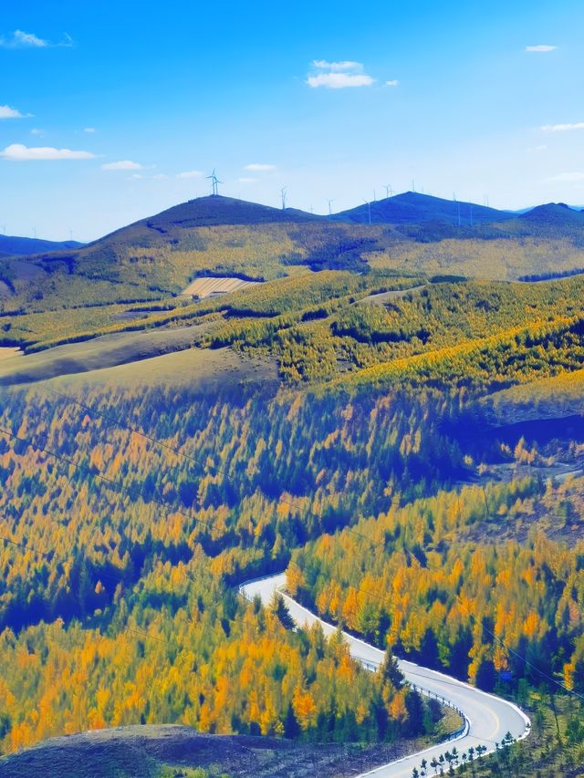 壯麗山河映輝煌，大境門內尋古韻