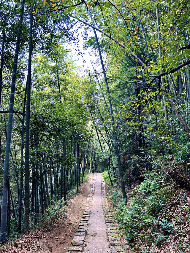 德清｜莫干山徒步，自然野趣與人文浪漫瘋狂碰撞