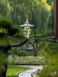住進大唐芙蓉園裡嘅皇家園林酒店體驗美到喊😭
