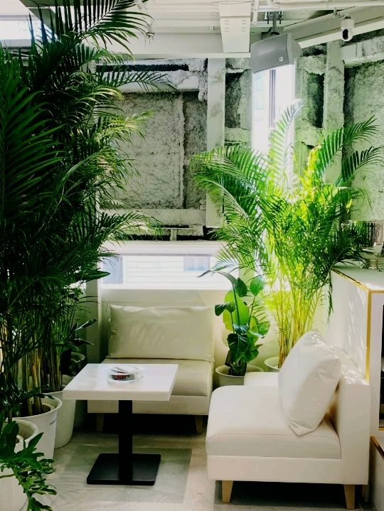 ✈️ 穿越時空的機場咖啡廳：OSA COFFEE夢幻體驗