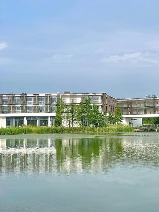 住進太湖嘅春天，邂逅蘇州太湖藍菱花酒店