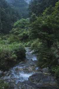 雨季嘅松陽，再次激起我隱居嘅心