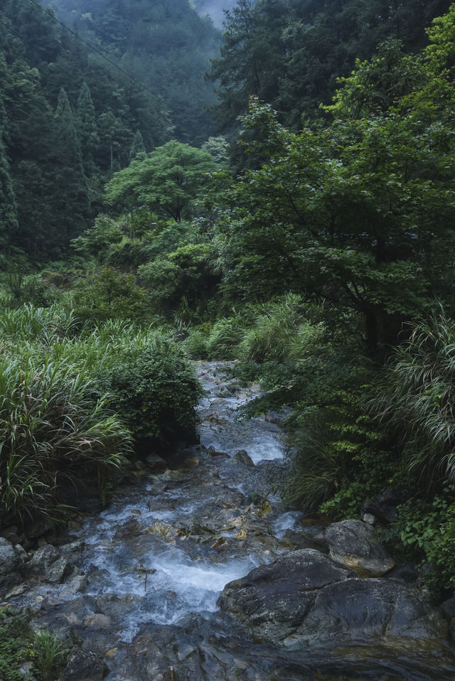 雨季嘅松陽，再次激起我隱居嘅心