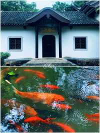 我相冊裏嘅100座城：6.長沙