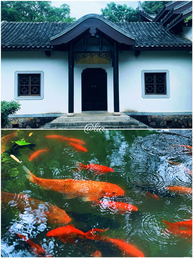 我相冊裏嘅100座城：6.長沙