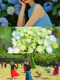 揚州，住進繡球花海包圍嘅莊園