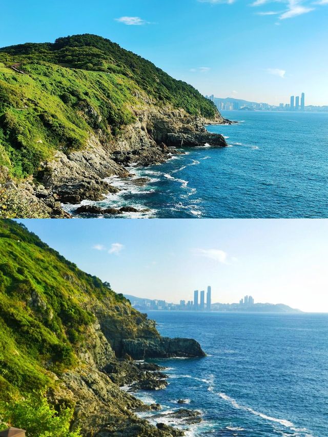 我放棄濟州島了，因為呢度……