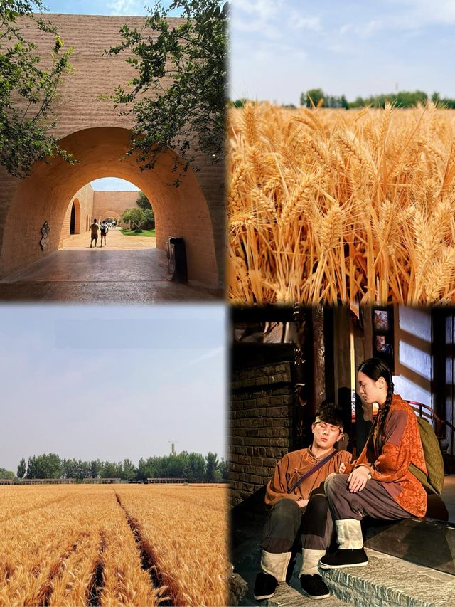 穿越21個劇場！河南戲劇幻城2日通票含淚囤